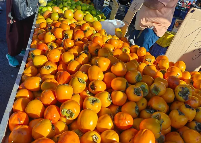 Sol Y Mar Escape Bergantin *