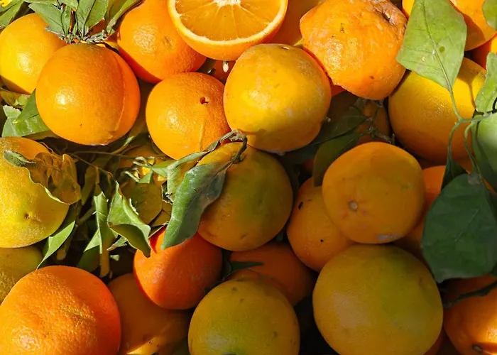 Apartment Sol Y Mar Escape Bergantin